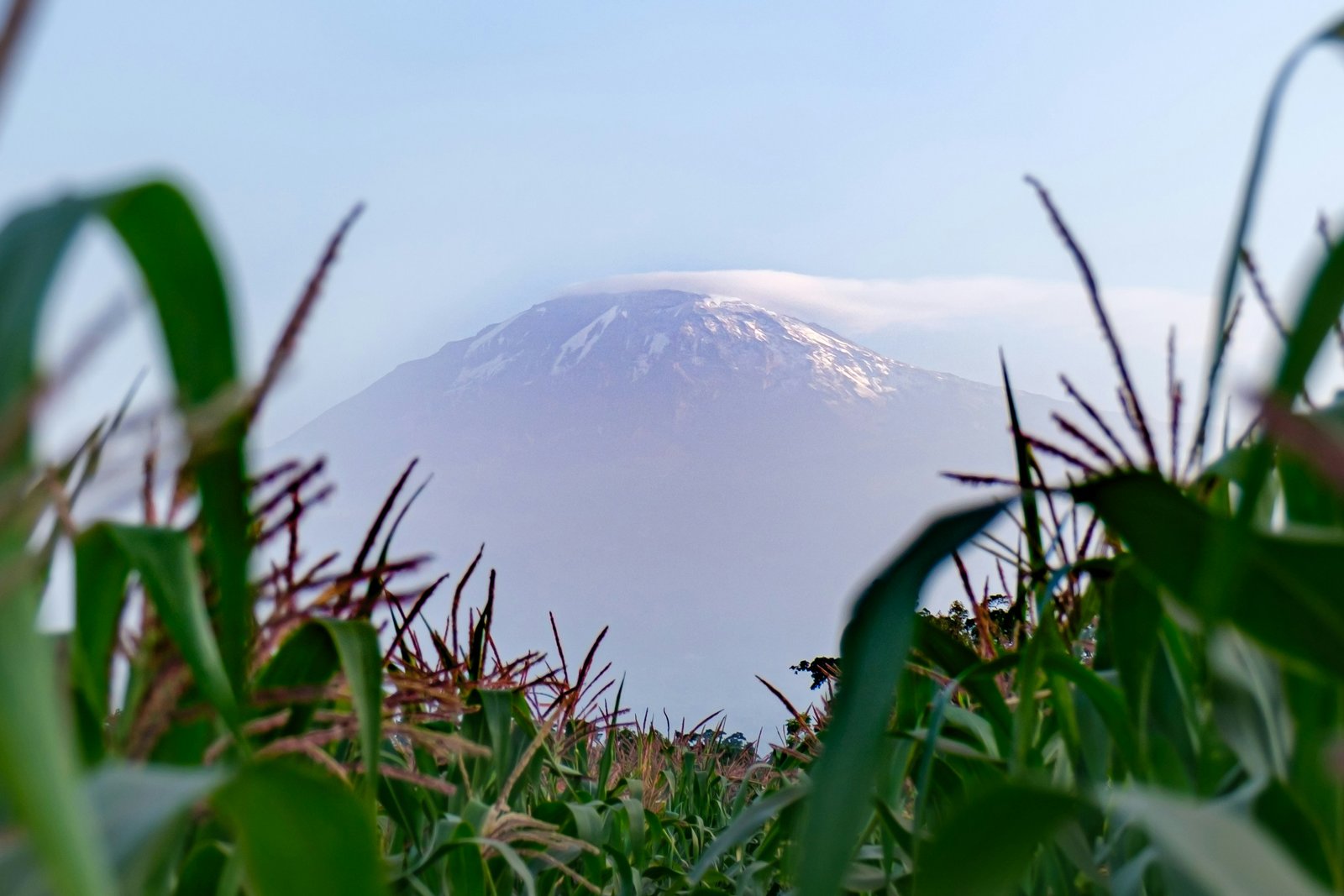 Mountain Kilimanjaro