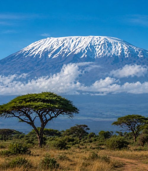 Mt. Kilimanjaro Trekking