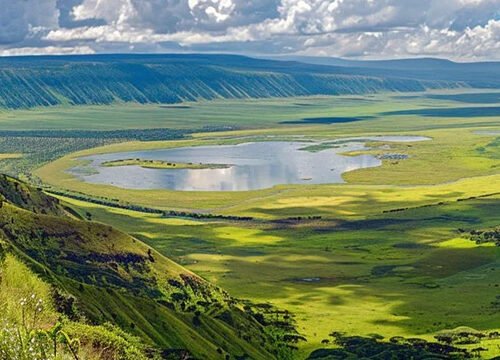 Ngorongoro Crater Day Tour