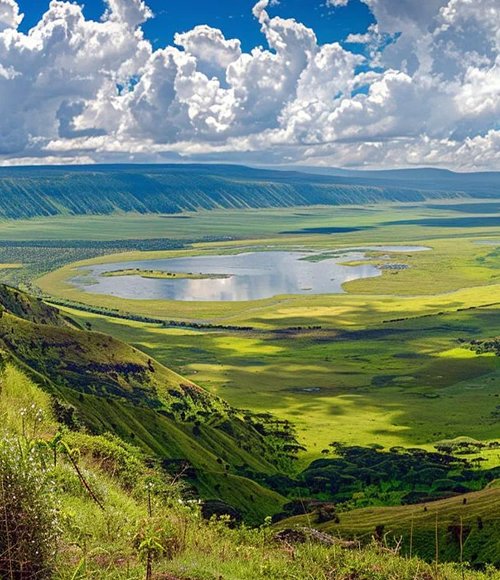 Ngorongoro Crater Day Tour