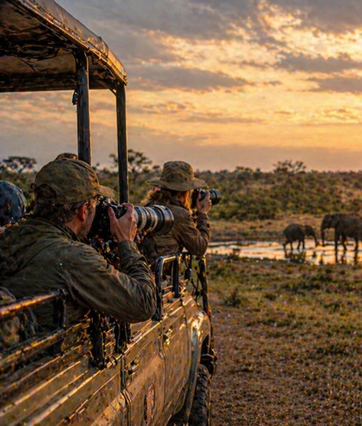 Photography Safaris