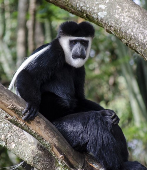Arusha National Park